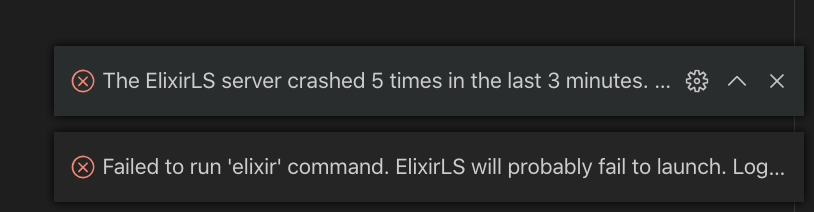 ElixirLS server crashed 5 times